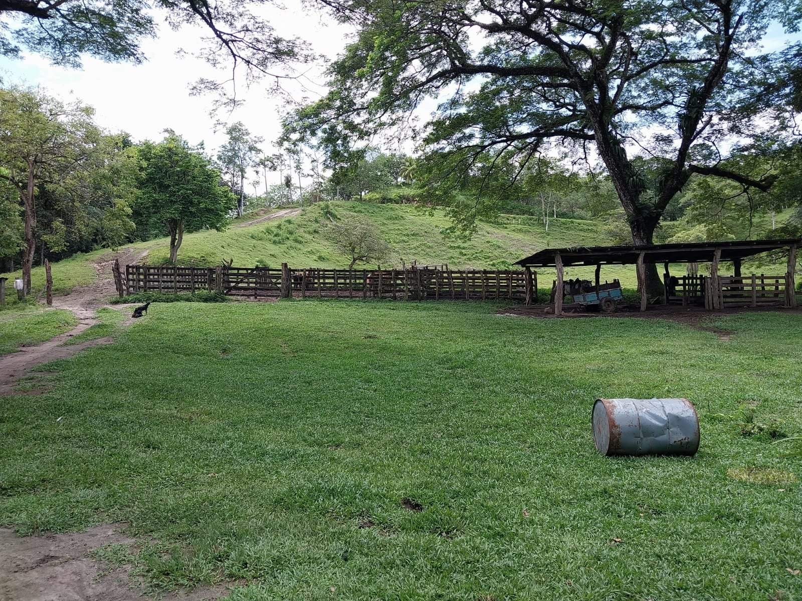 A rural farm scene with a grassy yard, trees, a small dirt path, a rusty barrel, a wooden fence, and a shelter with equipment underneath.
