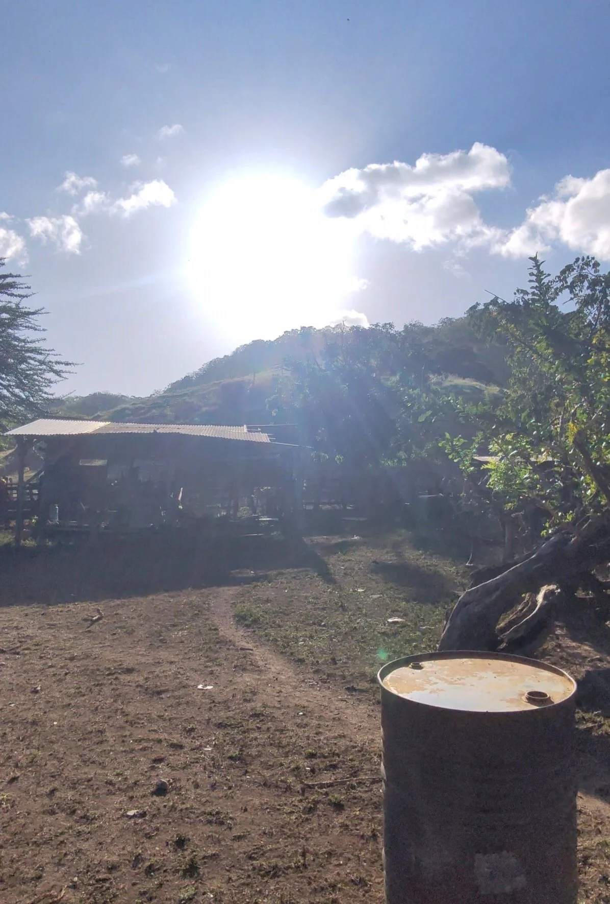 A rural scene with a bright sun, a few clouds, trees, a dirt path, and a metal barrel in the foreground, with a small shed on a hillside in the background.