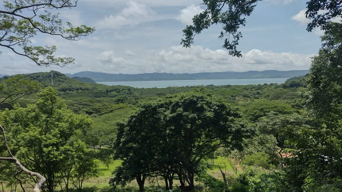 Lush green trees and hills overlooking a large body of water under a partly cloudy sky.