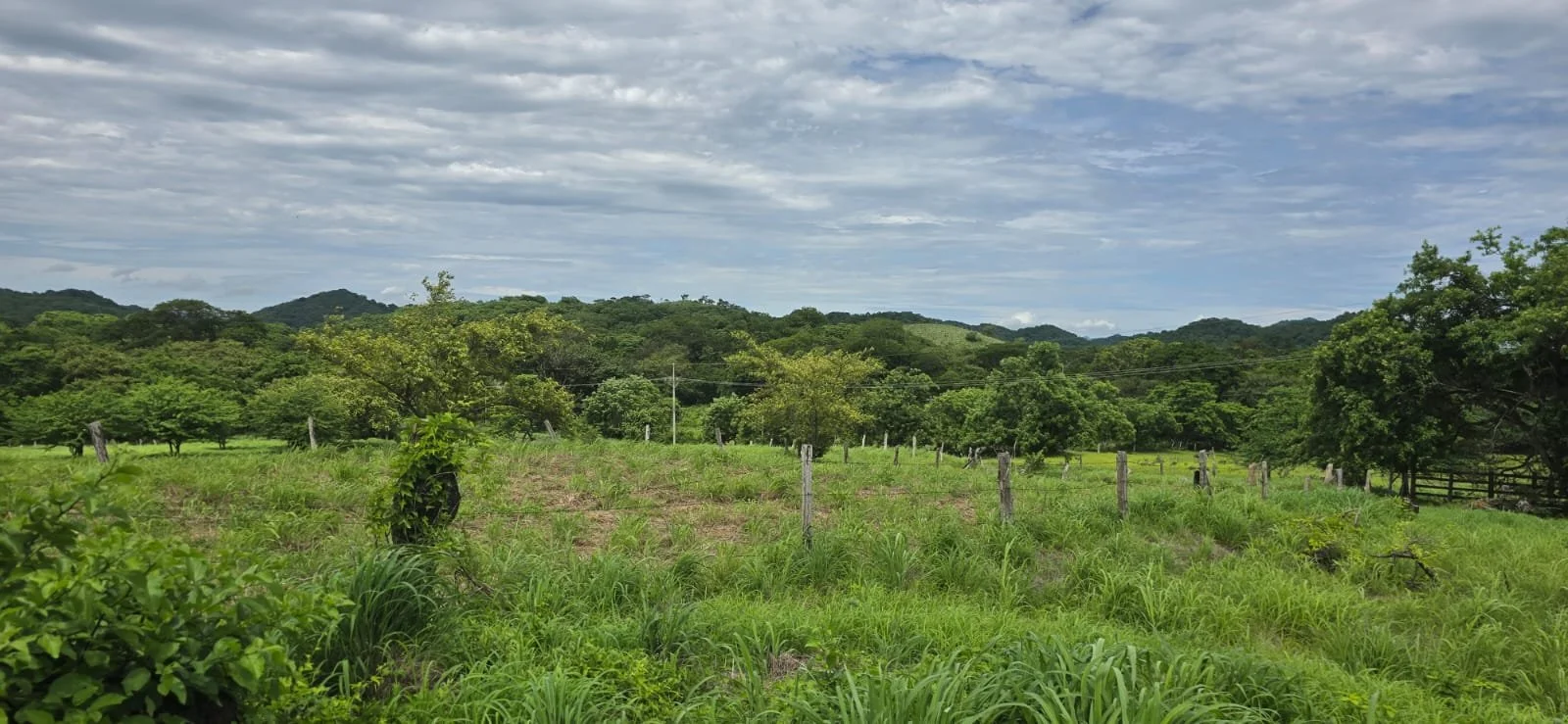 A lush green field with a fence, surrounded by trees and rolling hills under a partly cloudy sky.