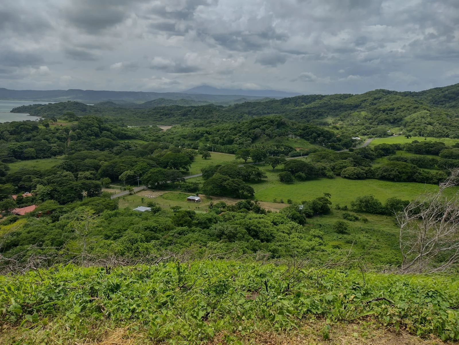 A scenic view of green rolling hills under a cloudy sky, including trees, fields, and a few small buildings in the distance.