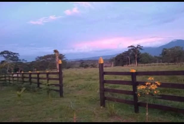 A wooden fence dividing a grassy field with trees and mountains in the distance during sunset or sunrise.