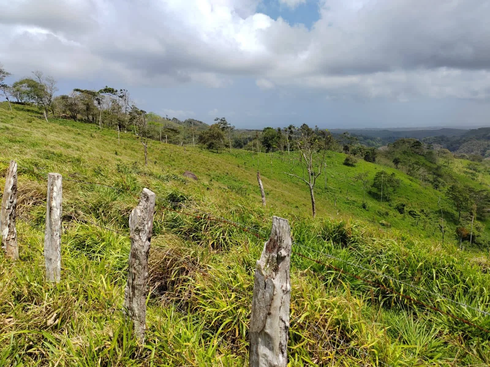 Green hilly landscape with a barbed wire fence in the foreground, scattered trees, and cloudy sky.