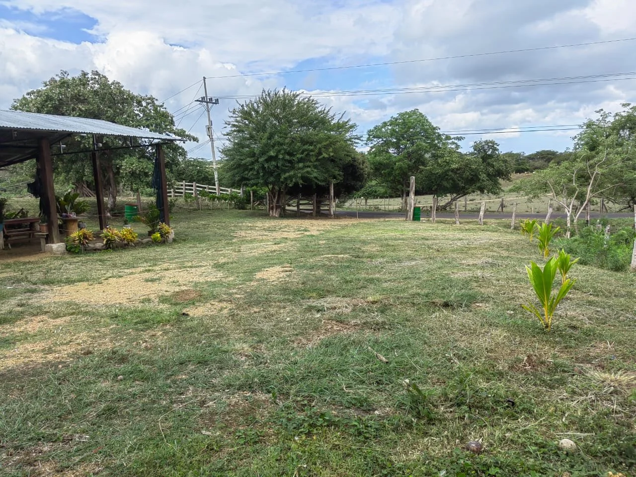 A grassy outdoor area with a small covered shelter on the left with benches and potted plants, several trees in the background, a fence, and utility poles and wires under a partly cloudy sky.