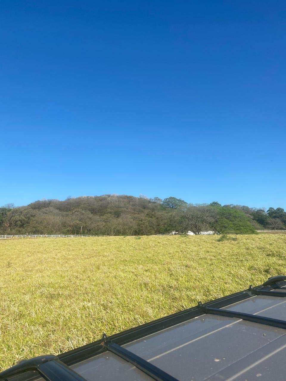 Wide view of a grassy field with a hill covered in trees in the distance under a clear blue sky, partially showing the roof of a vehicle at the bottom right corner.