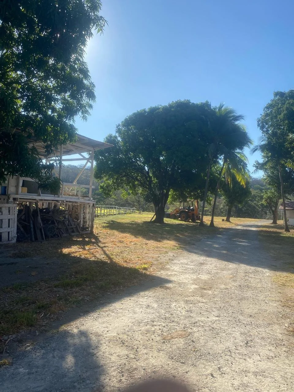 A sunny outdoor scene with a dirt road, trees including a palm tree, a small building on the left, and a tractor in the background.