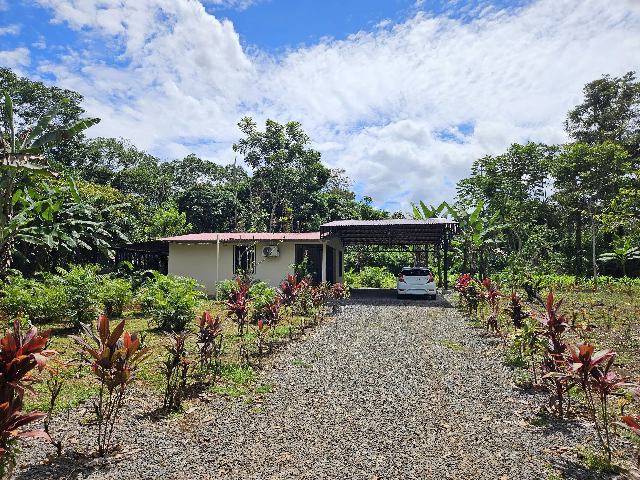 A gravel driveway leading to a small house with a carport, surrounded by lush green plants and trees, under a partly cloudy sky.