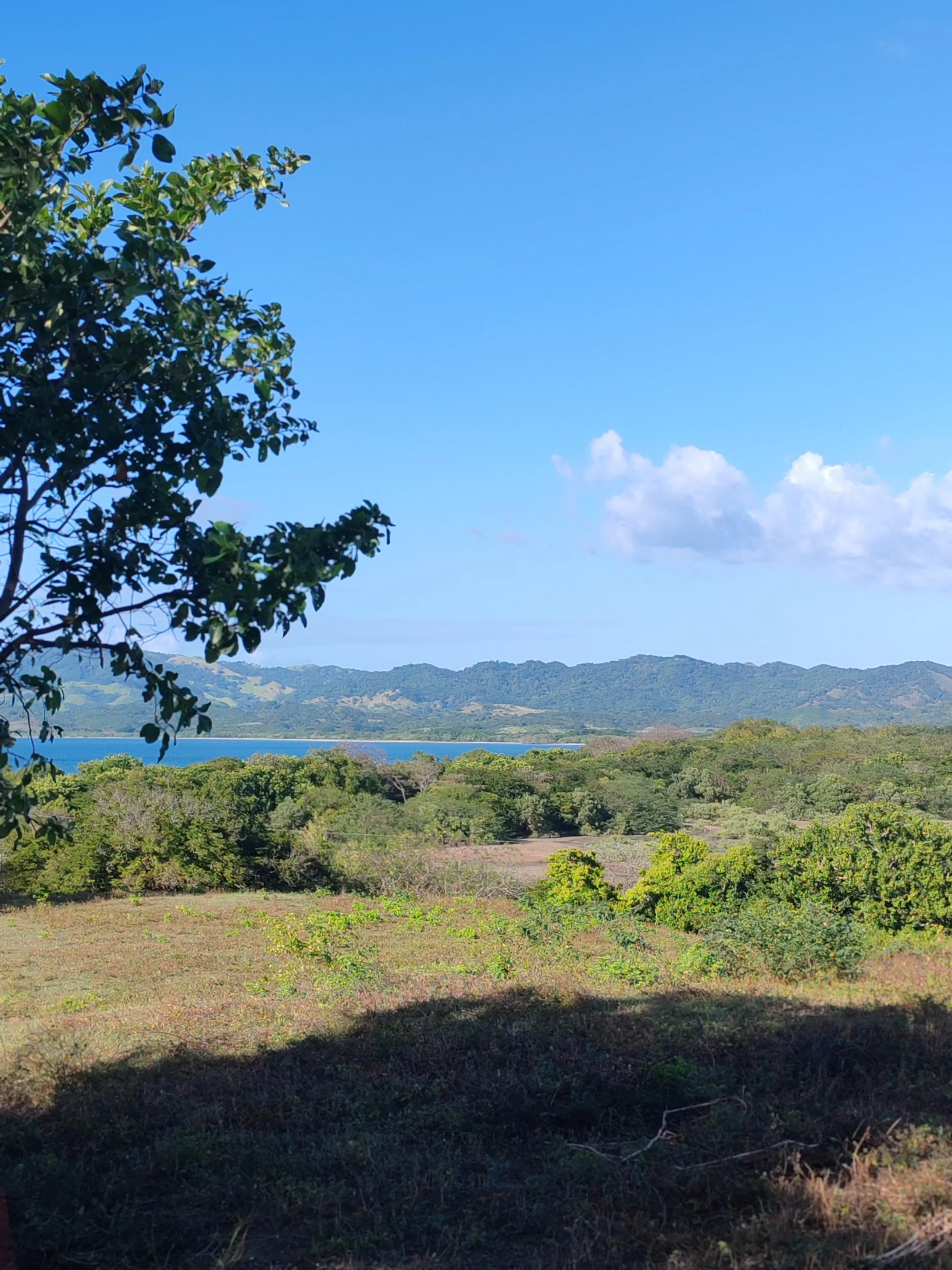 Scenic landscape of green trees and shrubs, hills in the distance, a body of water, and a bright blue sky with a few scattered white clouds.