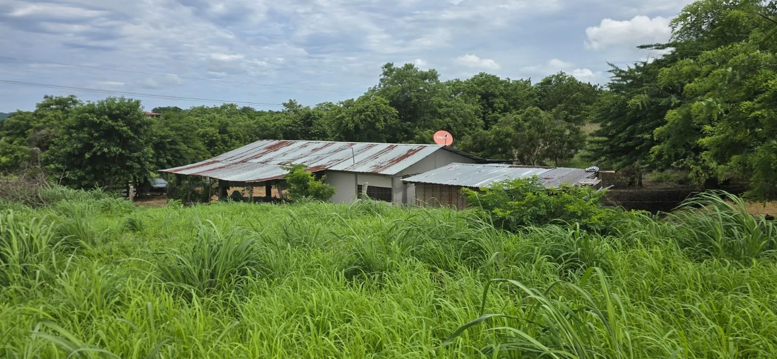 A rustic house with a rusted metal roof, surrounded by lush green grass and trees, under a cloudy sky.