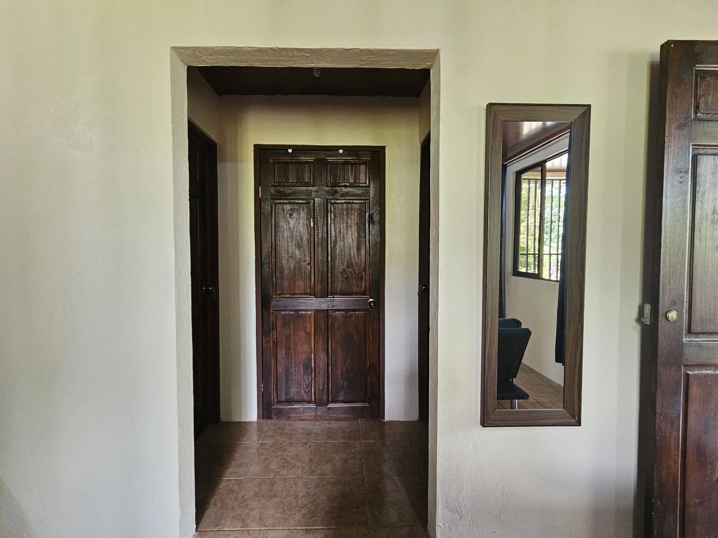 Wooden door at the end of a hallway with a tan wall and a mirror on the right side reflecting a window and outside trees.