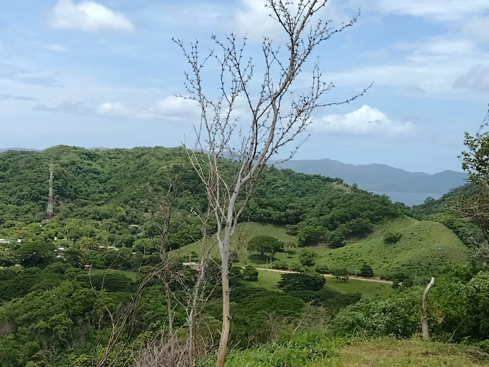 Hilly landscape with green vegetation, trees, and distant mountains under a partly cloudy sky, with some leafless trees in the foreground.