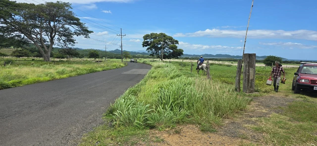 A rural scene with a paved road, green grassy fields, large trees, a person riding a horse, and a woman walking with a jug and other items towards a red vehicle parked near a post.