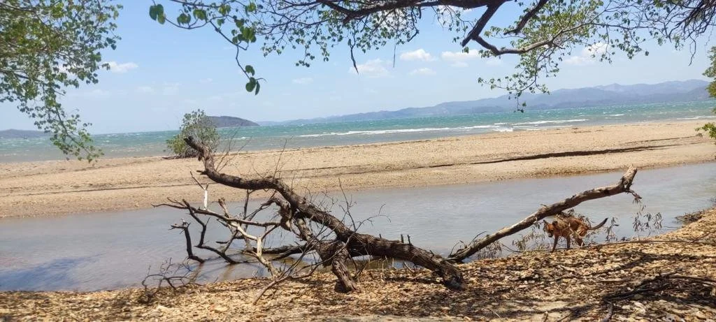 View of a sandy beach with a small stream flowing into the ocean, a fallen tree in the foreground, and distant mountains under a partly cloudy sky.