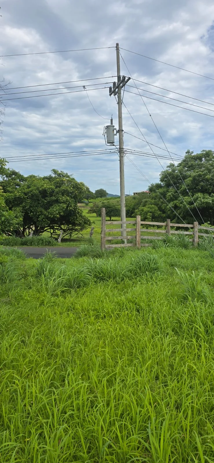 Green grassy field with a wooden fence, trees in the background, and an electric pole with wires under a cloudy sky.