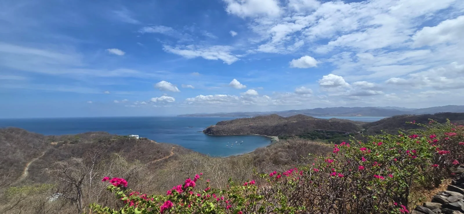 Scenic coastal view with a bay, mountains, and a partly cloudy sky, with pink flowers in the foreground.