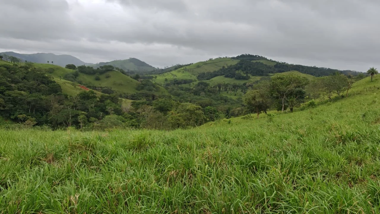 Green rolling hills and mountains under a cloudy sky, with grass and scattered trees in the foreground.