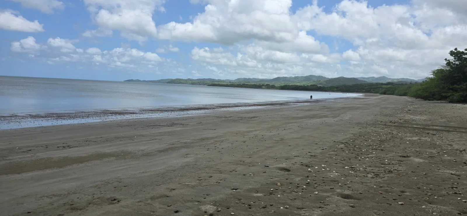 A quiet sandy beach with a few small shells and pebbles, along a calm ocean under a partly cloudy sky. Green hills are visible in the distance, and a person is walking along the shoreline.