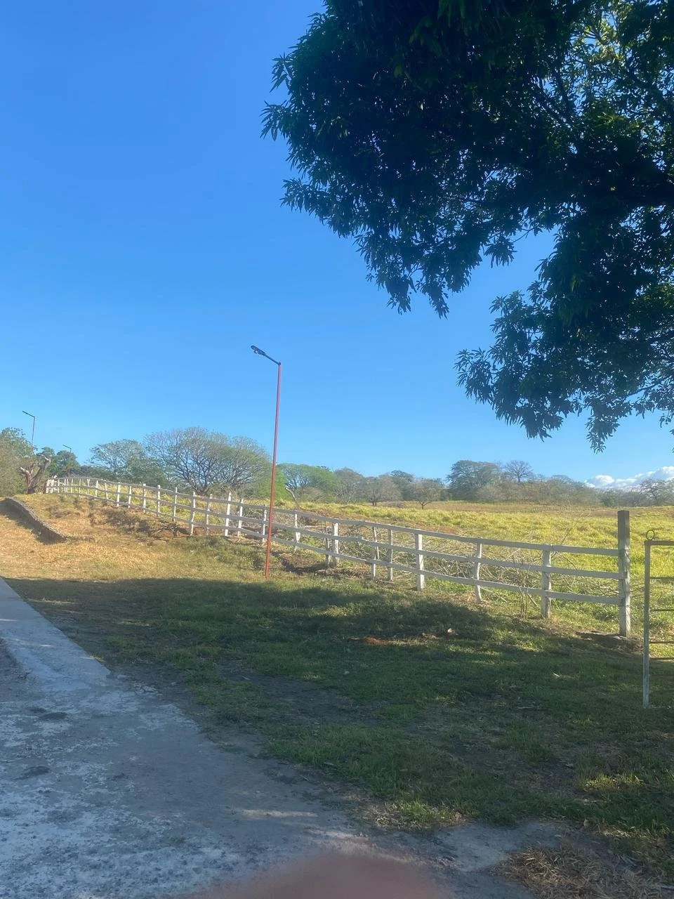 A rural scene with a dirt path, green grass, a white fence on a hill, several trees, and a clear blue sky. A streetlamp is also visible next to the fence.