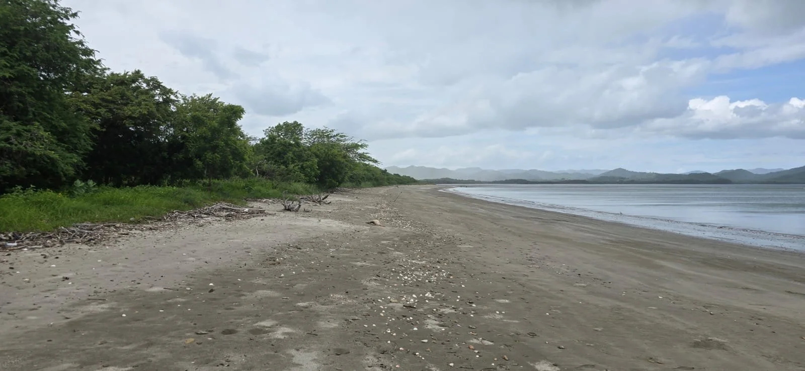 A deserted sandy beach with some driftwood, green trees on the left, and calm water on the right, with mountains in the distance under a partly cloudy sky.