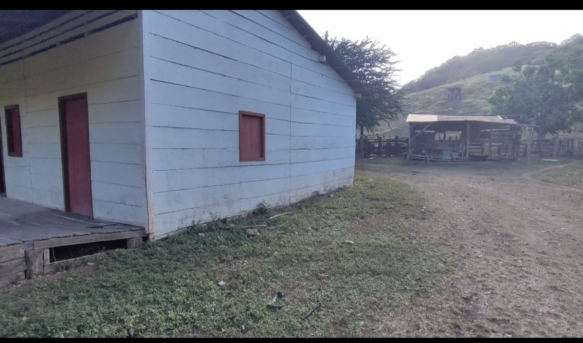 A simple white wooden house with two red windows and a red door, situated on a grassy area with a dirt path. In the background, there is a small wooden structure with a metal roof and some trees, with a hill covered in greenery.