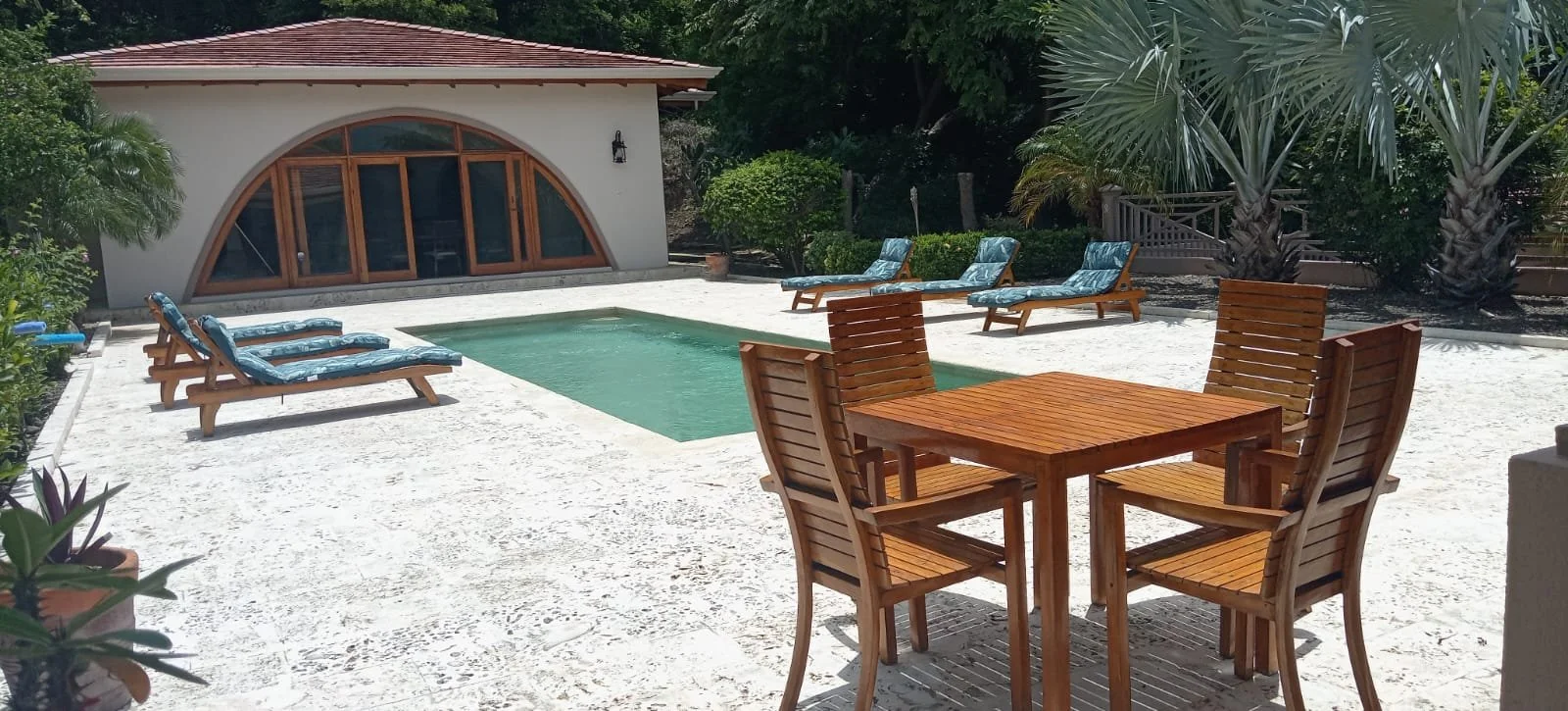 Backyard with a small swimming pool, wooden lounge chairs with cushions, a wooden table with four matching chairs, surrounded by lush green plants and trees.
