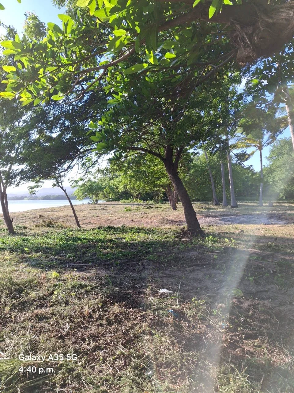 A scenic outdoor view of a grassy area with several trees near a body of water, under a clear blue sky. The time is 4:40 p.m. and the camera used is Galaxy A35 5G.