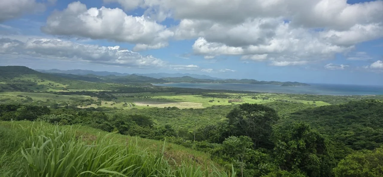 Scenic view of green rolling hills, lush forests, a body of water, and mountains in the distance under a partly cloudy sky.