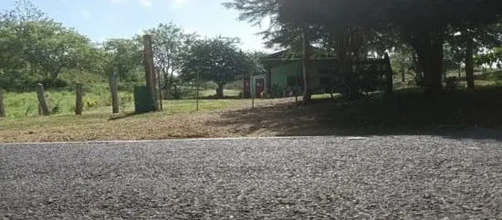 View of a gravel road leading to a small green building surrounded by trees and a wooden fence.