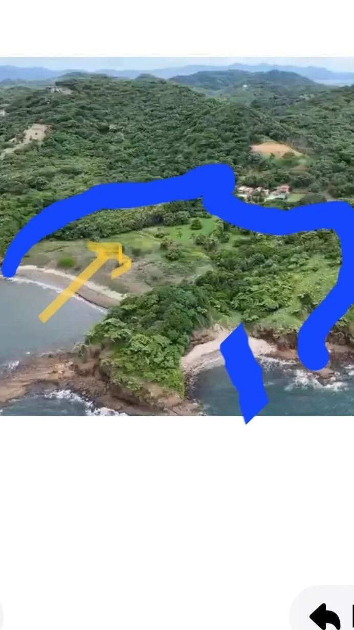 Aerial view of a lush green coastal landscape with forests, a small beach, and rocky shoreline, overlaid with a blue outline and a yellow arrow.