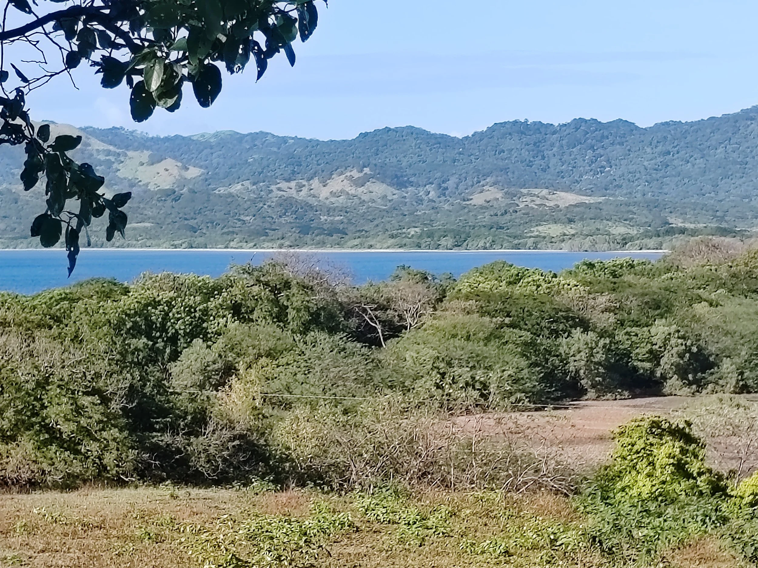 Landscape of lush green trees and bushes in the foreground, stretching towards a large lake with mountains in the background under a clear blue sky.