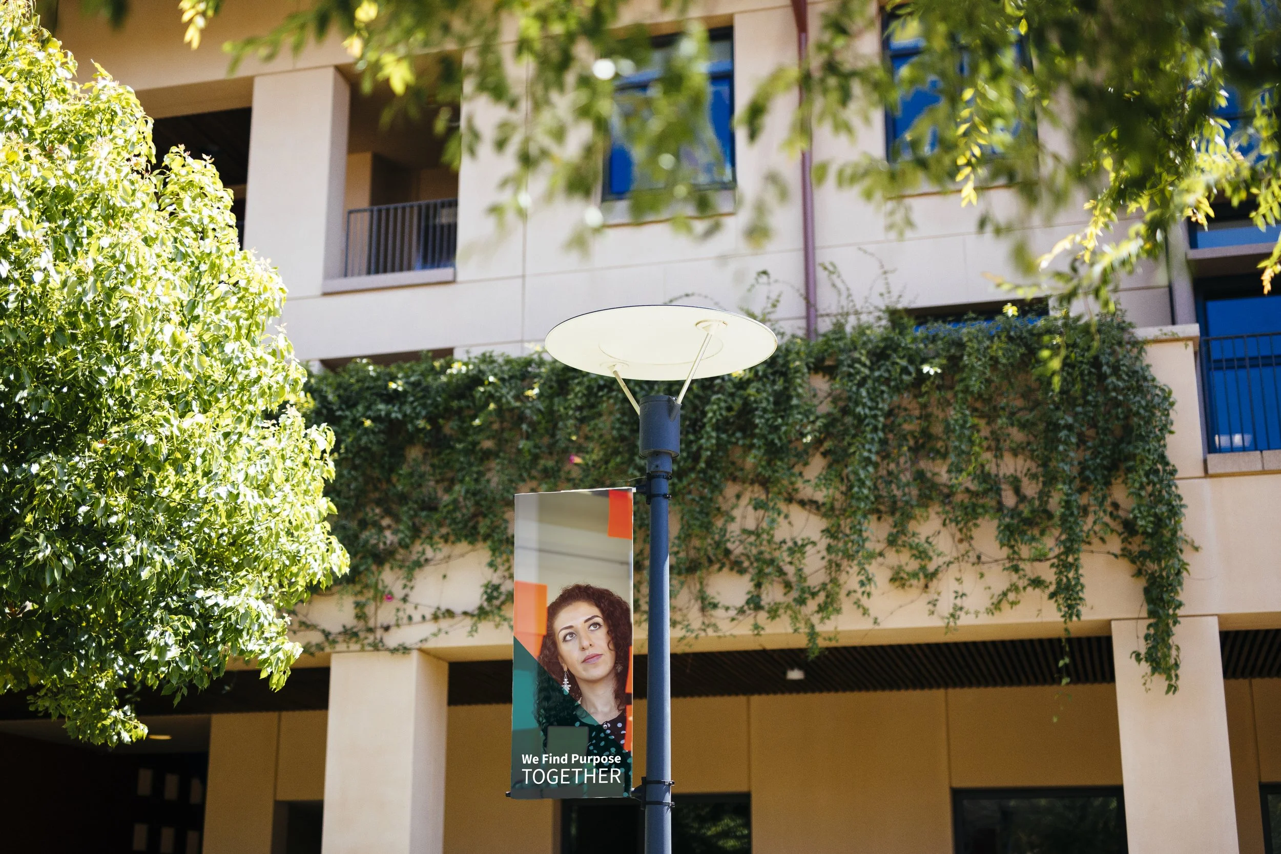 A motivational outdoor banner on Stanford Graduate School of Business Knight Management Center campus with the text "We find purpose together" attached to the pole holding the streetlamp.