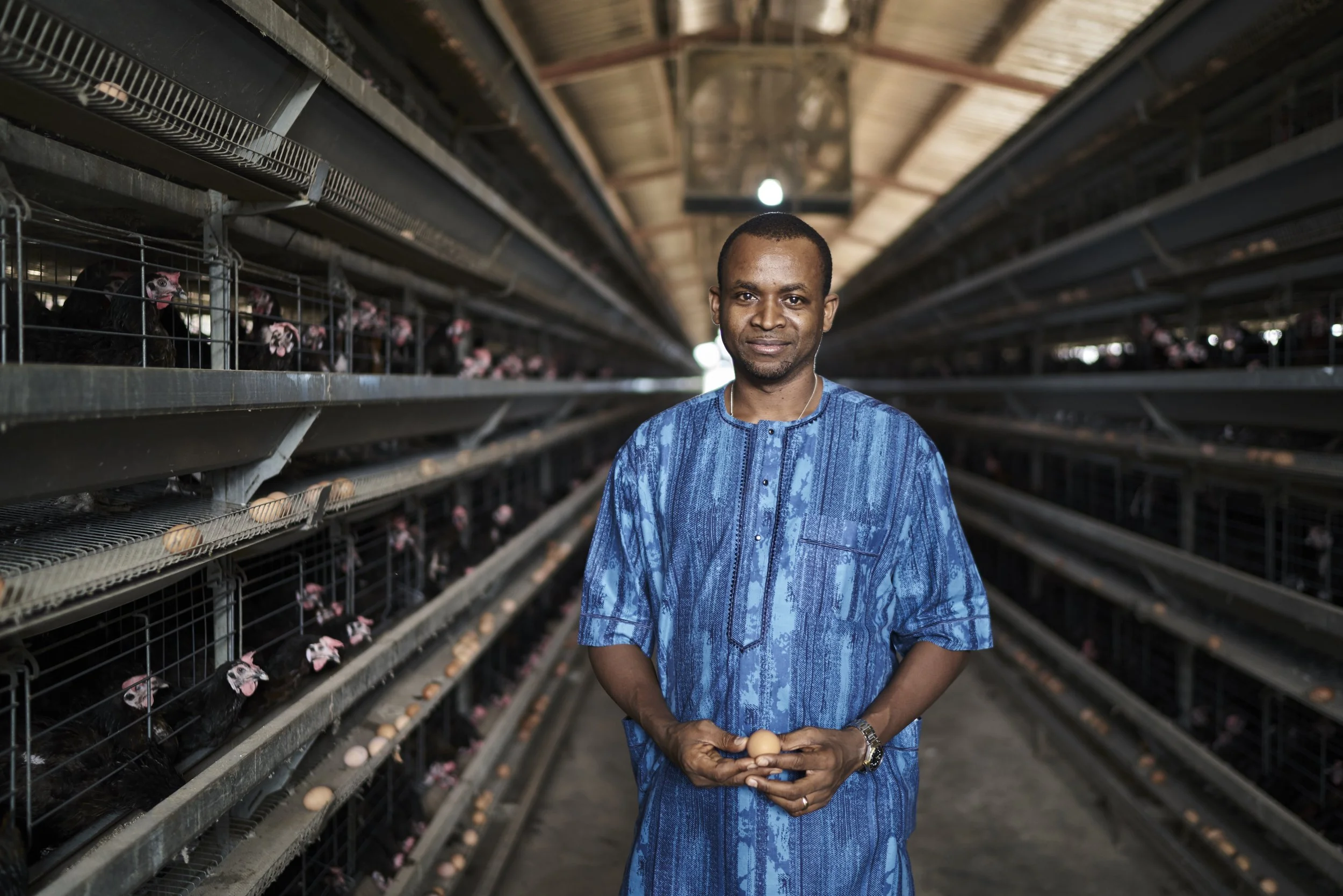 Award Winning Stanford Seed image: A man wearing a traditional blue African shirt stands in a poultry farm aisle, holding eggs, with multiple chicken cages filled with chickens and eggs on either side.