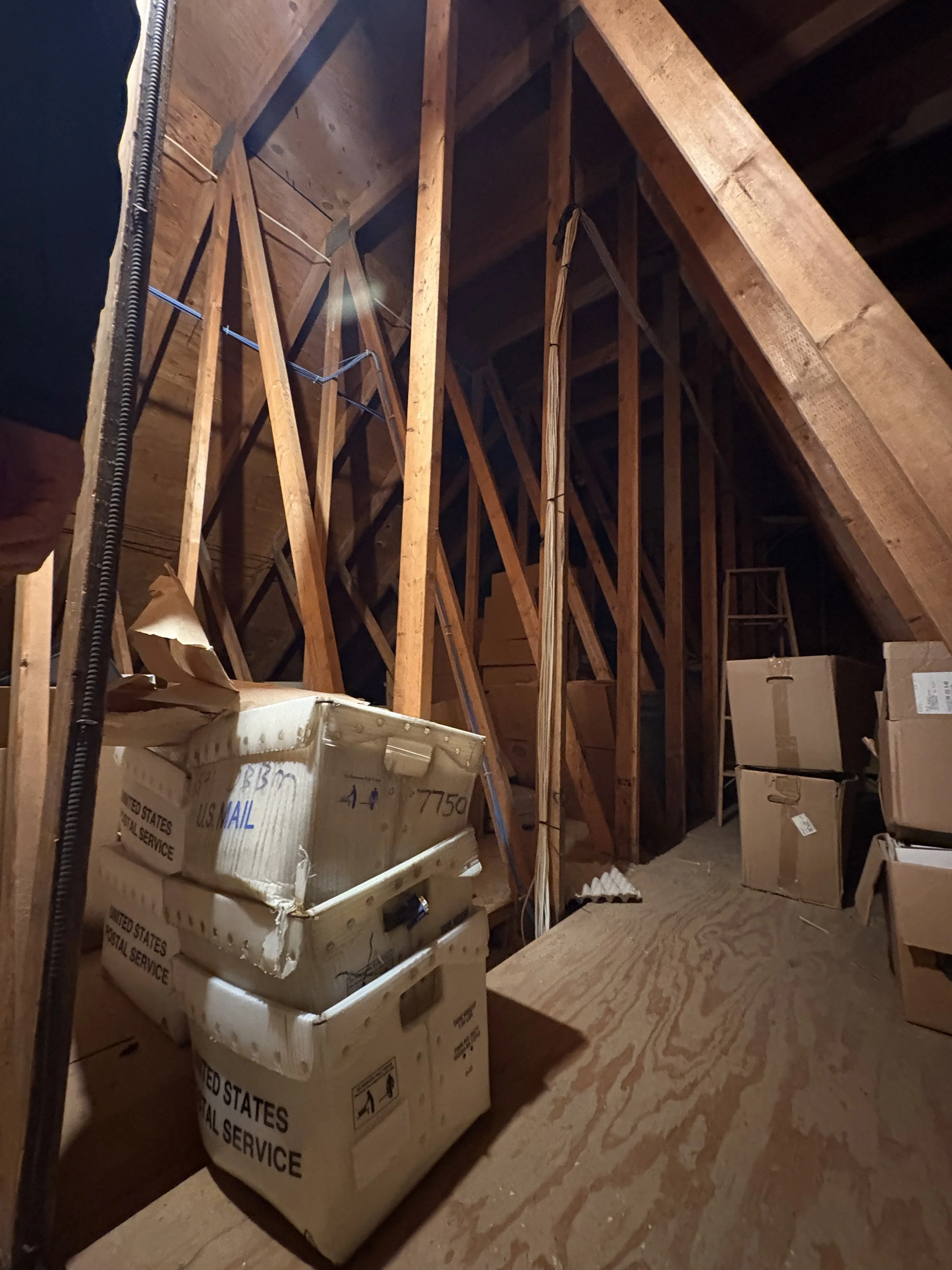 attic clean out in Pittsburgh, Pa