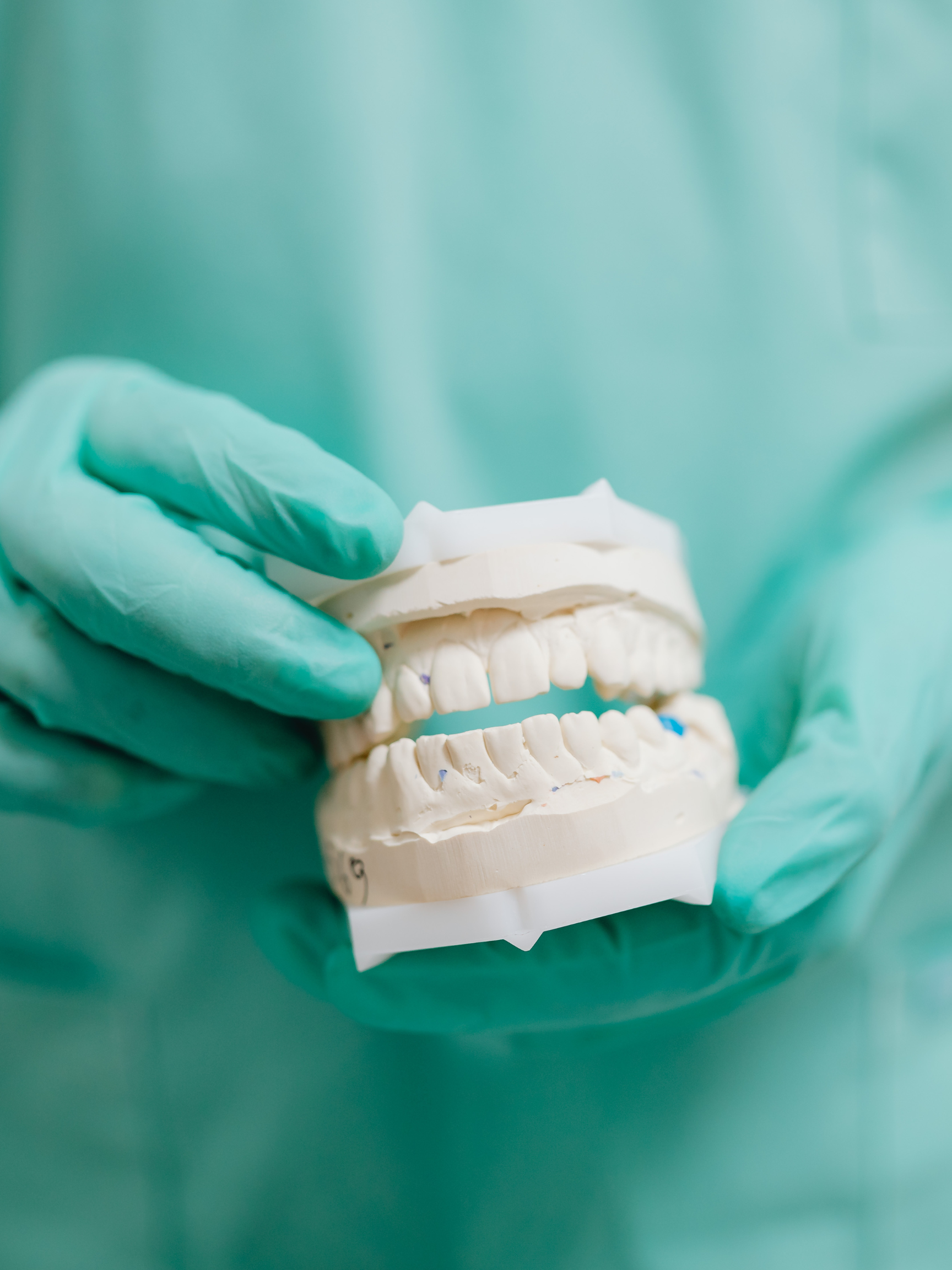 Manos con guantes de látex sosteniendo un modelo de dientes y encías dentales en un entorno clínico.