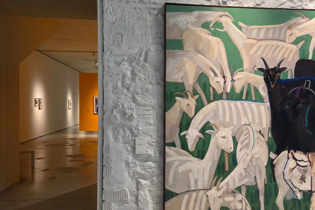 Udstilling på Museu Can Framis i Poblenou i Barcelona