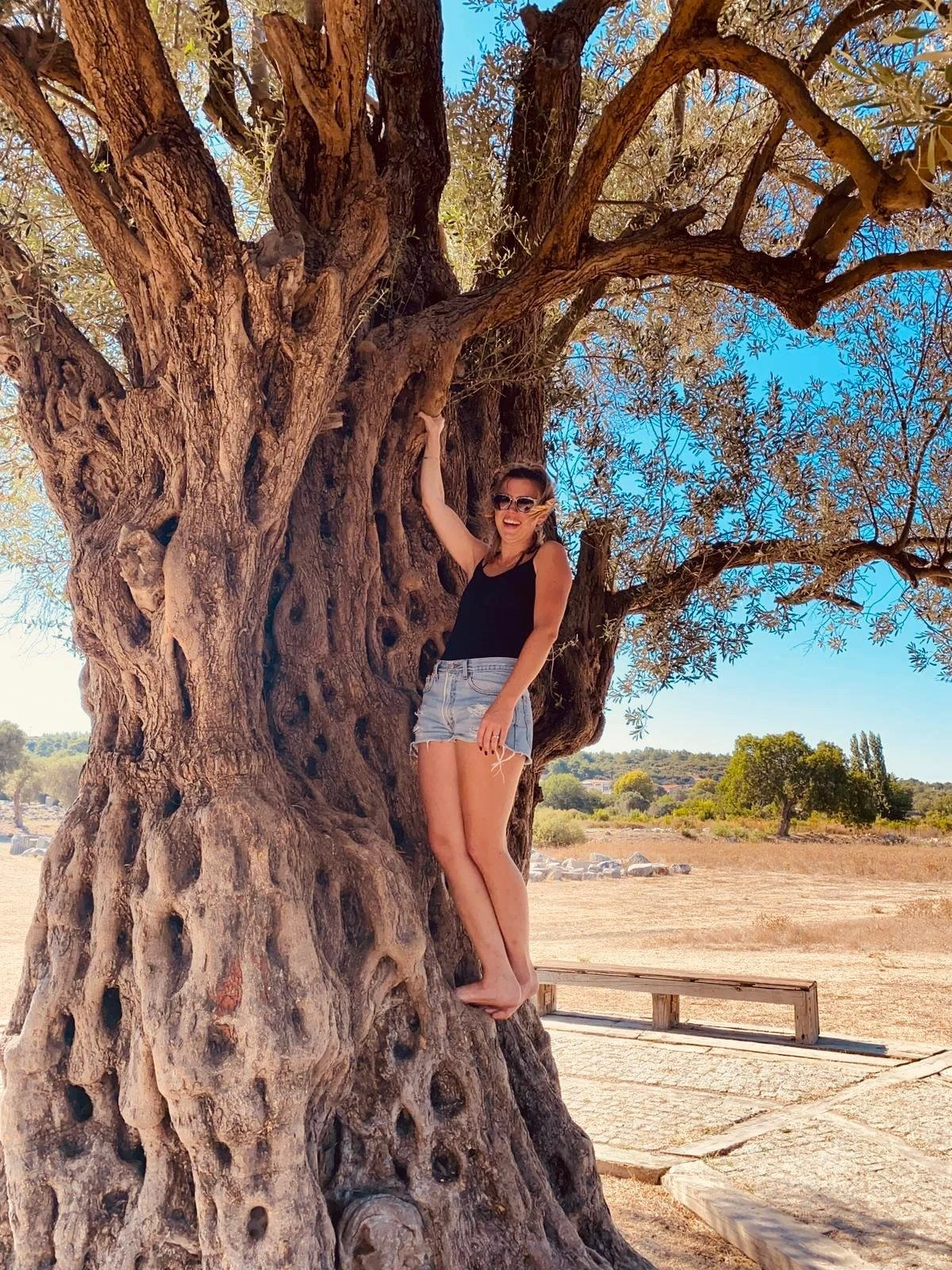 A woman in a black tank top, sunglasses, and denim shorts standing next to a large gnarled olive tree with a thick trunk and sprawling branches in a sunny, open area with a clear blue sky. She is smiling.