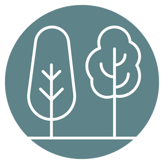 Simple line drawing of two trees on a circular background