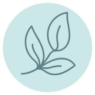 Line drawing of three leaves on a branch inside a light blue circle.