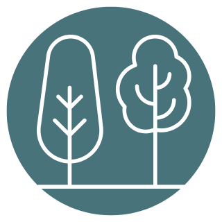 Line drawing of two trees, one tall and narrow, the other shorter and rounder, on a teal circular background.