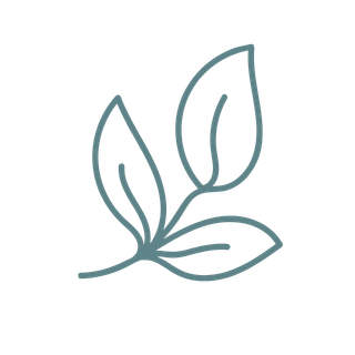 Outline drawing of a sprouting plant with three leaves.