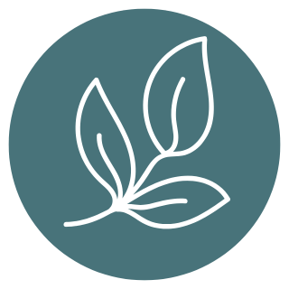 Line drawing of three leaves against a dark teal circular background.