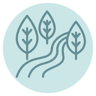 Illustration of three trees and a curving path surrounded by a light blue circular background.