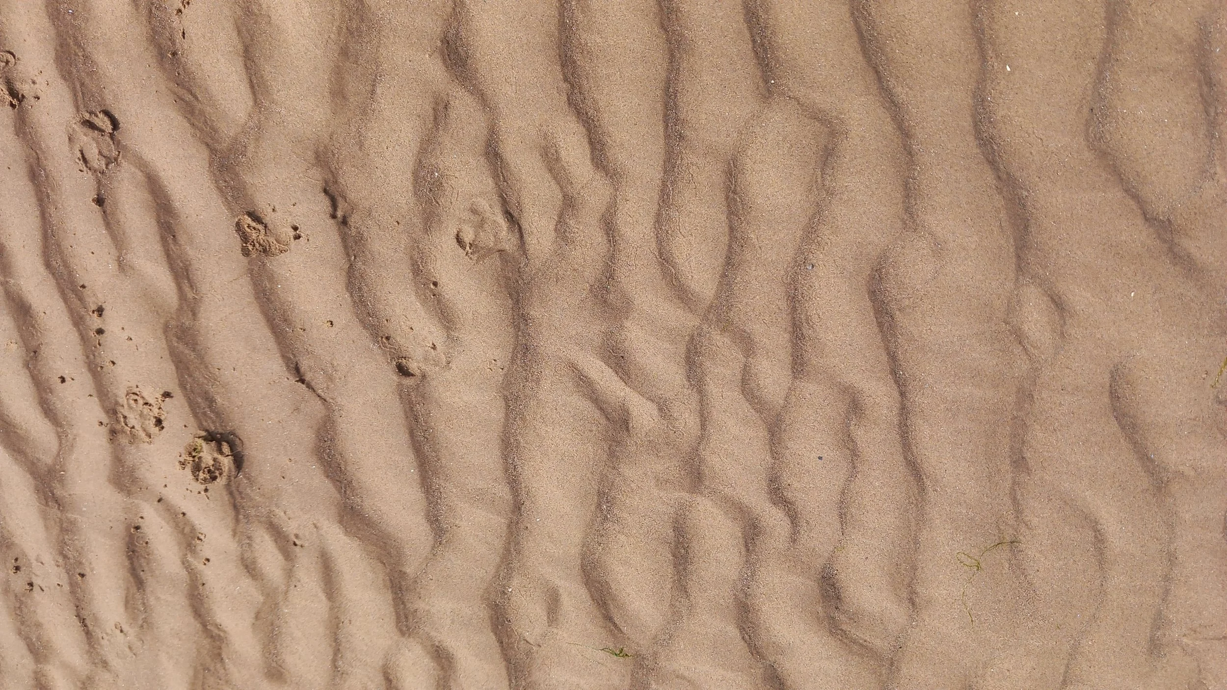 Close-up of natural sand patterns shaped by water and movement, symbolising reflection, ingrained habits, and the slow process of change.