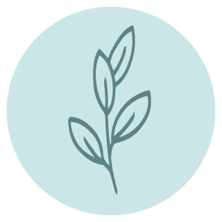 Simple line drawing of a plant with five leaves on a light blue circular background.