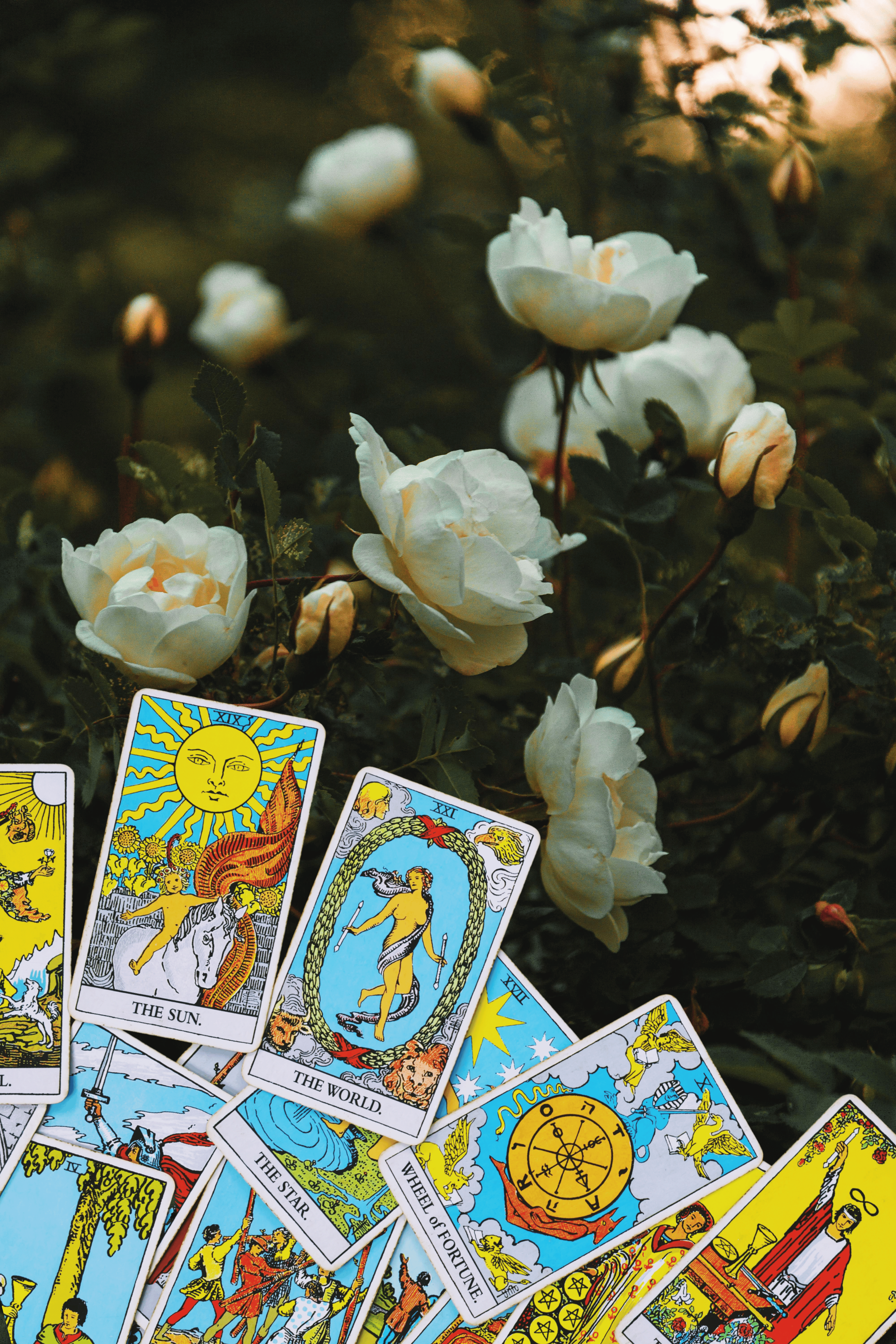 Mediumship and Intuitive Psychic Reading