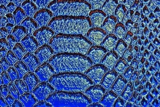 blue-snake-skin-as-background-reptile-blue-snake-skin-as-background-reptile-top-view-162655018+copy.jpg