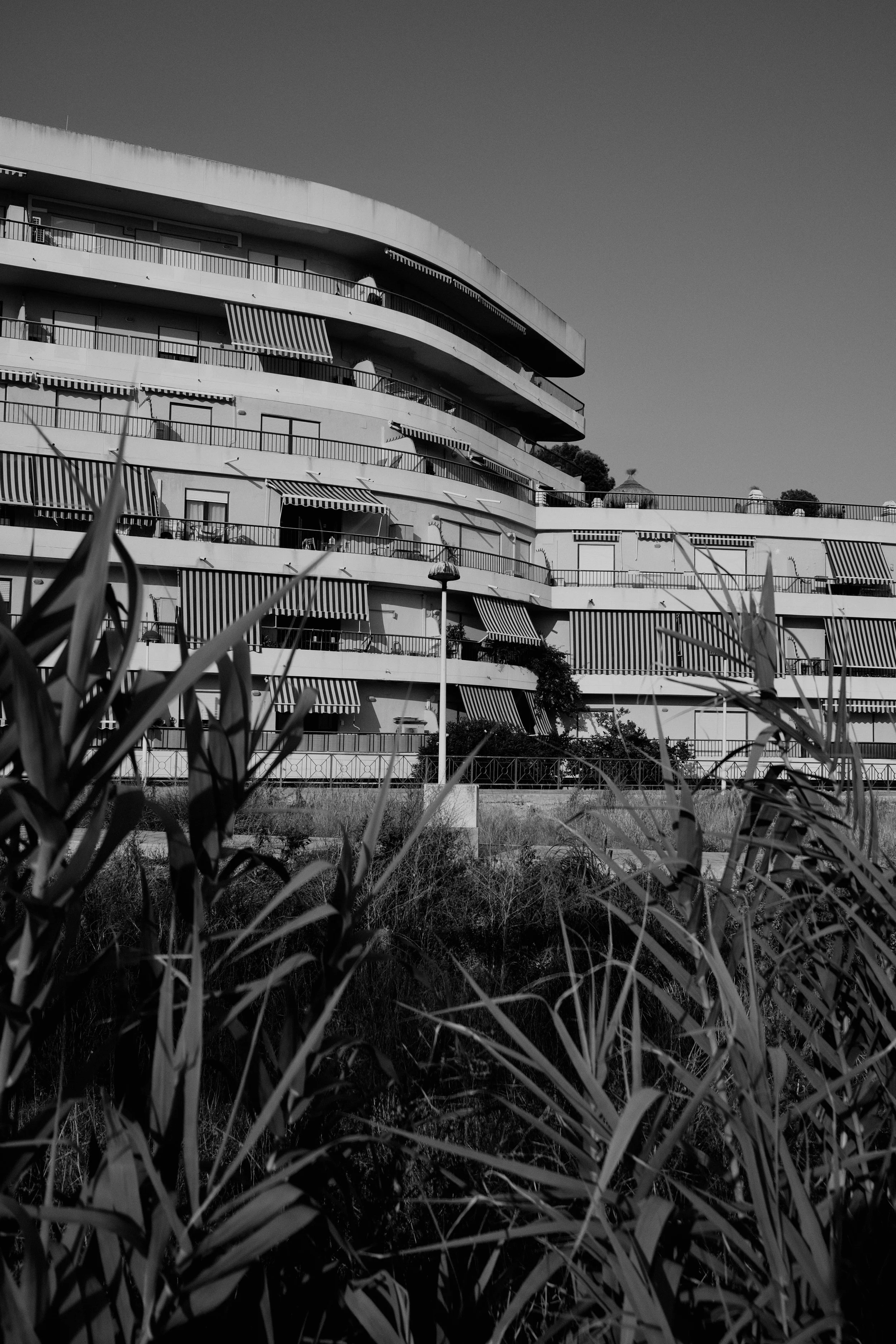 ADRI0143.JPG