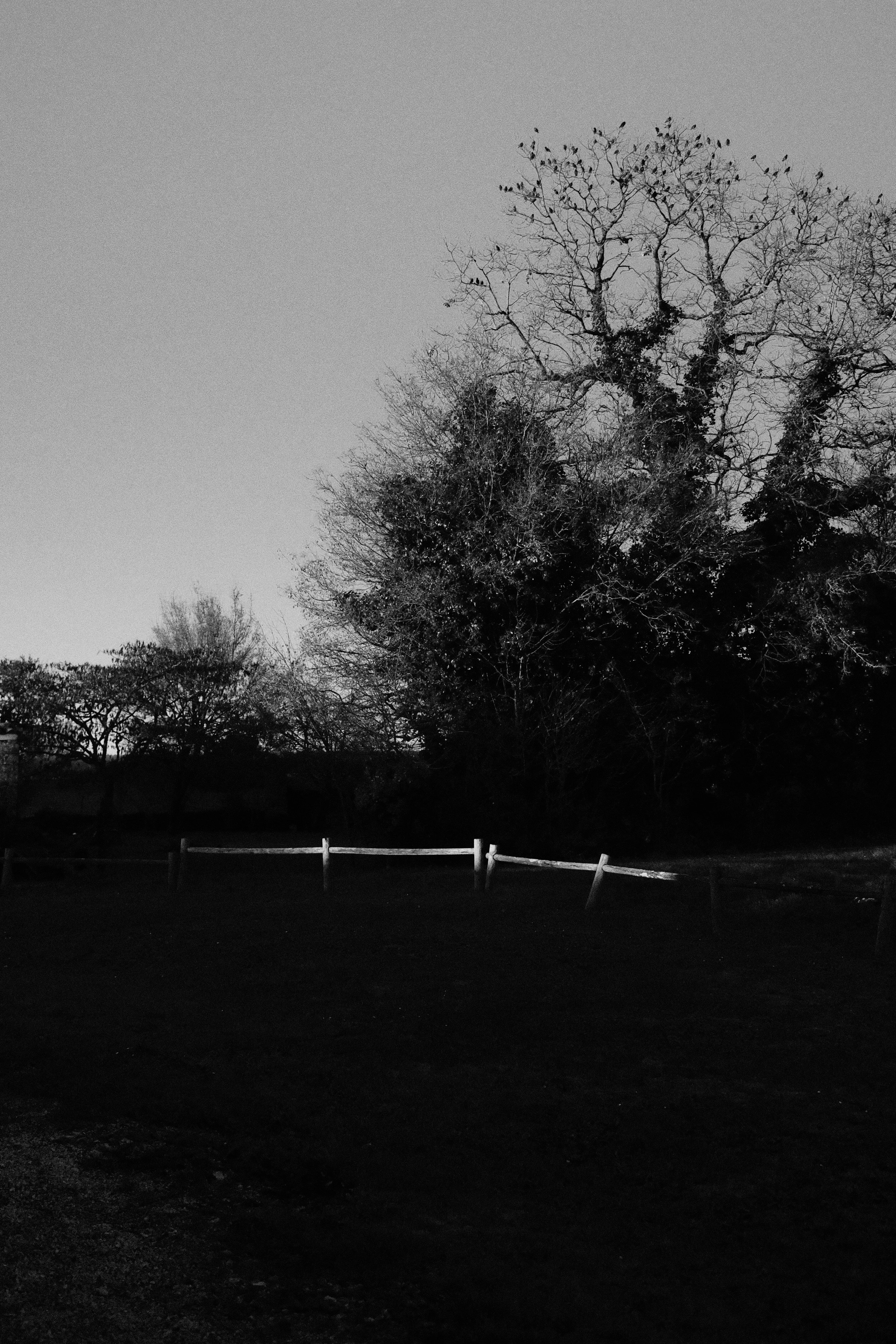 DSCF1134.JPG