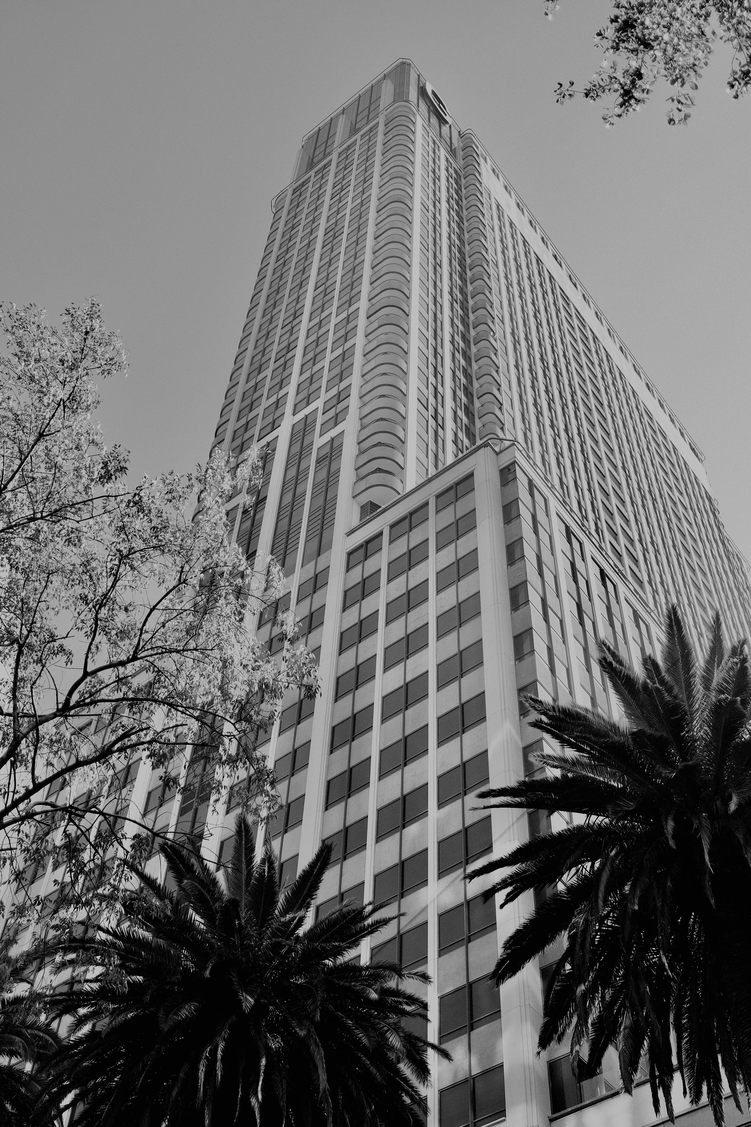 ADRI4950.JPG