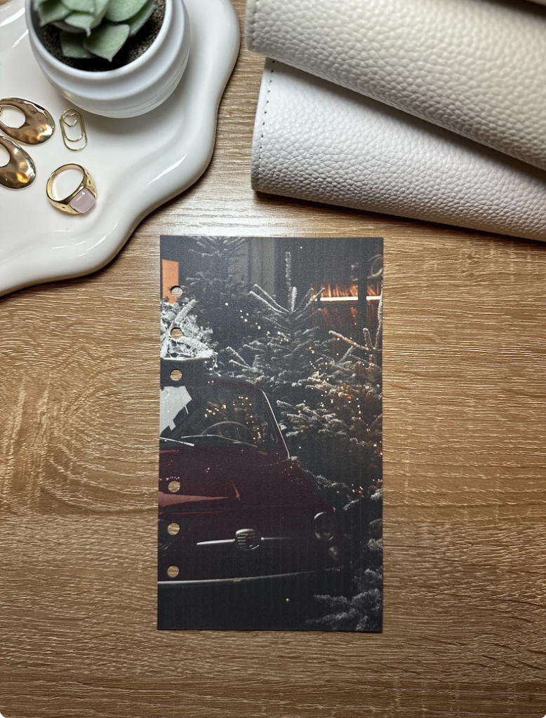 A6 WINTER DASHBOARDS - CAR EVERGREEN